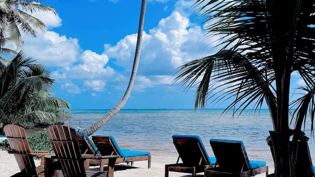 A beach with lounge chairs and a palm tree. - Mangata Villas (San Pedro)
