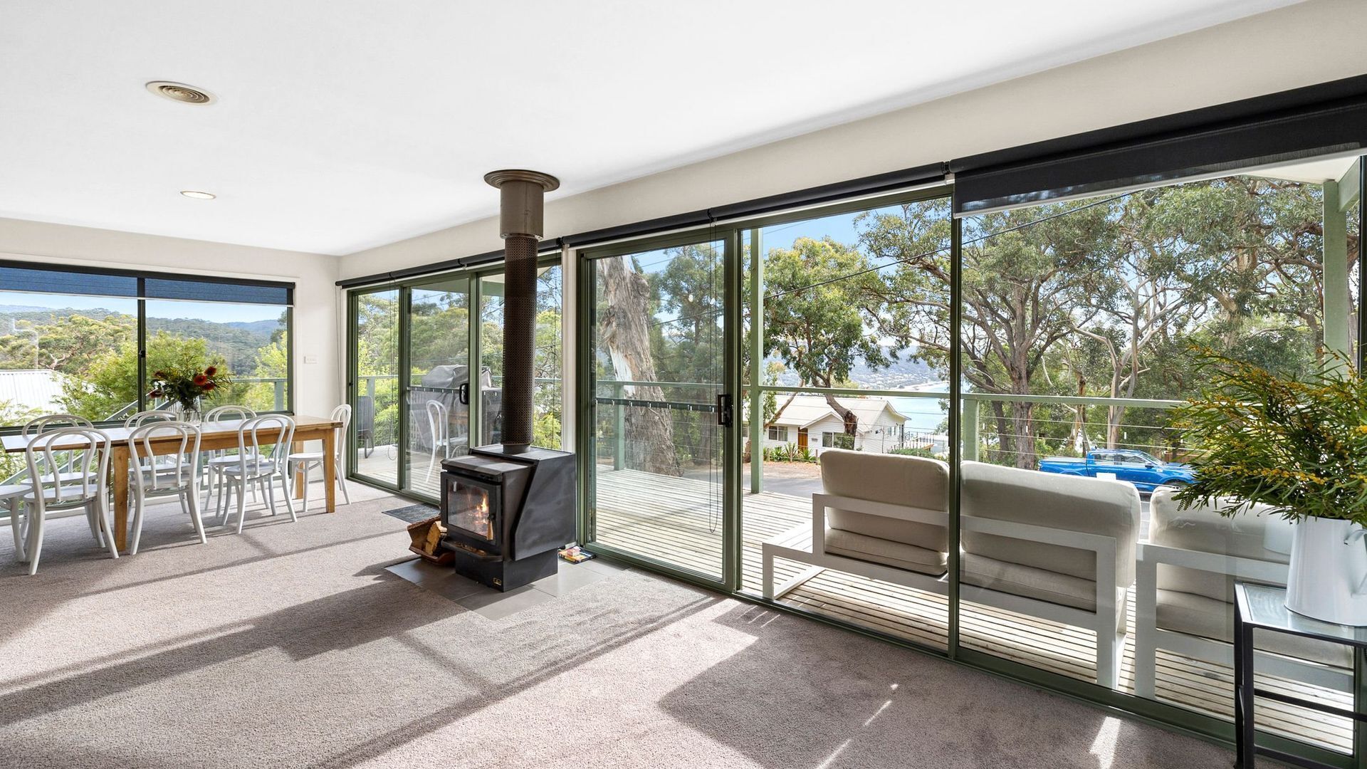 TV, fireplace, DVD player, music library