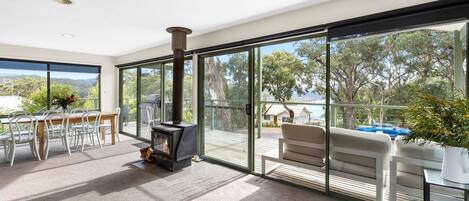 TV, fireplace, DVD player, music library