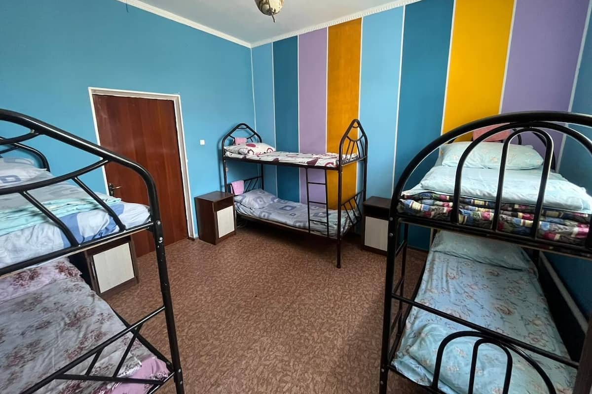 Shared Dormitory, Multiple Beds