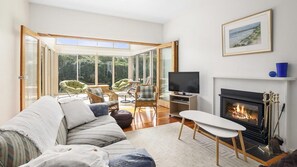 Televisio, takka, DVD-soitin, musiikkikirjasto