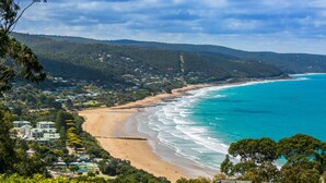 A coastal landscape with a beach, ocean, and forested hills. - The Pavillion (Lorne)