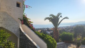 Vista costera con una escalera de piedra, una palmera y un edificio con flores rosadas.