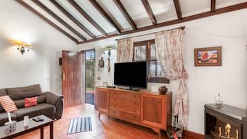 TV, fireplace, DVD player