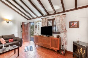 Télévision, cheminée, lecteur de DVD