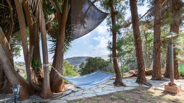 Un hamac tendu entre deux arbres, un sentier pavé de pierres et un lampadaire.