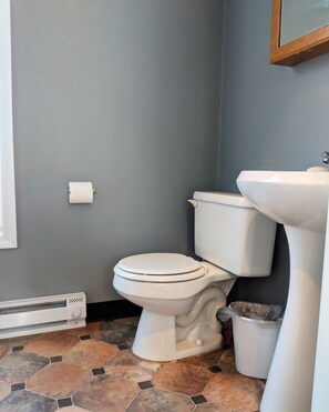 Secadora de cabello, toallas, jabón, shampoo 