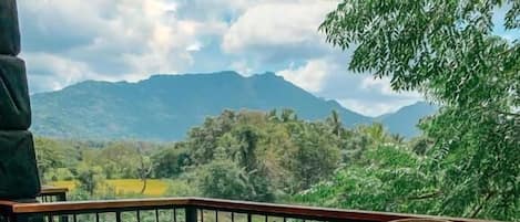 Petit déjeuner buffet (8 LKR par personne)