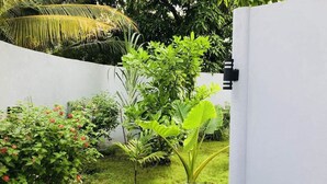Un jardín con diversas plantas y un muro blanco.