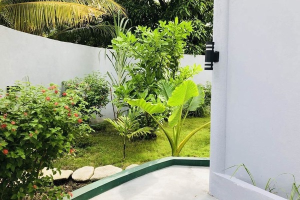 Jardim