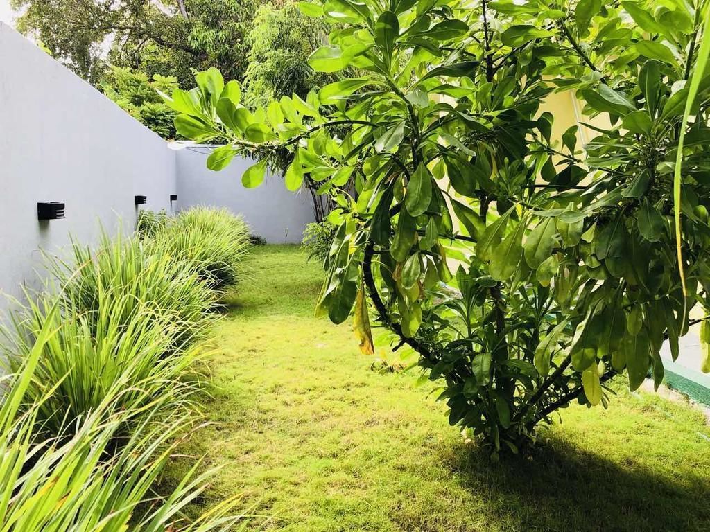Jardim