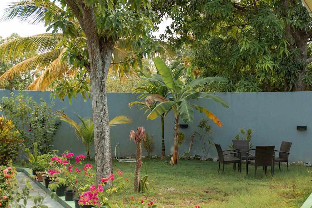 Vieni Qua Grand - Bild 4