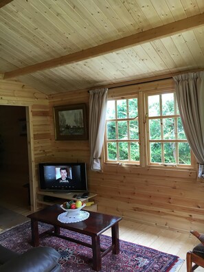 Fernseher, Kamin, Bücher, Musikbibliothek