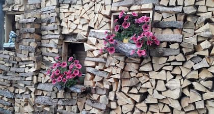 Appartement de vacances Poschiavo pour 1 - 4 personnes avec 3 chambres Ă coucher - Appartement de va