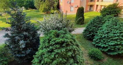 Ferienwohnung Bükfürdõ für 2 - 4 Personen mit 1 Schlafzimmer - Ferienwohnung