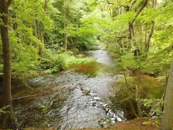 المنطقة المحيطة بالمنشأة