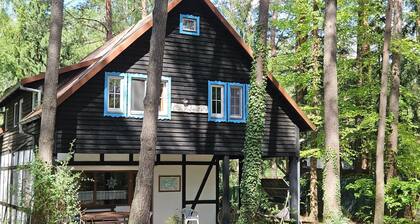 Holiday house Zgnilocha for 1 - 13 persons with 6 bedrooms - Holiday home