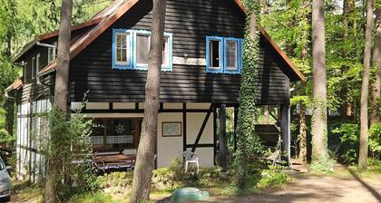 Holiday villa "Villa Jolanta" with sauna