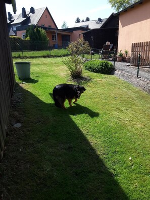 Enjoy a peaceful retreat in our backyard with lush greenery and a pet-friendly atmosphere.
