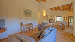 A spacious living area with a wooden ceiling, a sofa, a chair, and a dining table.