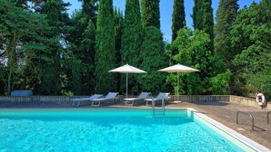 A swimming pool with clear blue water, surrounded by tall trees and two sun umbrellas.