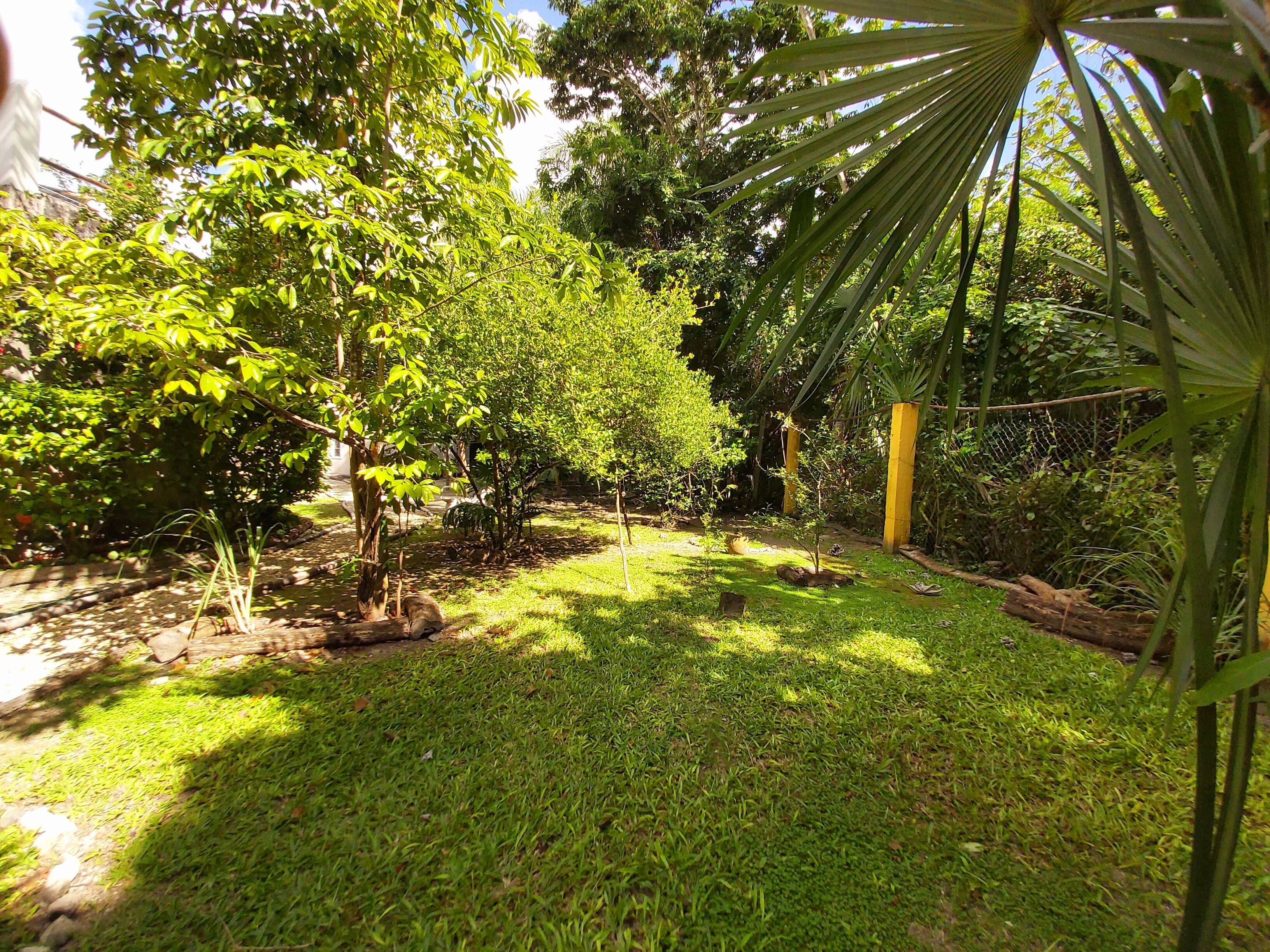 Un jardin luxuriant, avec différents types d’arbres et une pelouse bien entretenue.