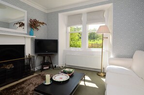 TV, lareira, DVD player