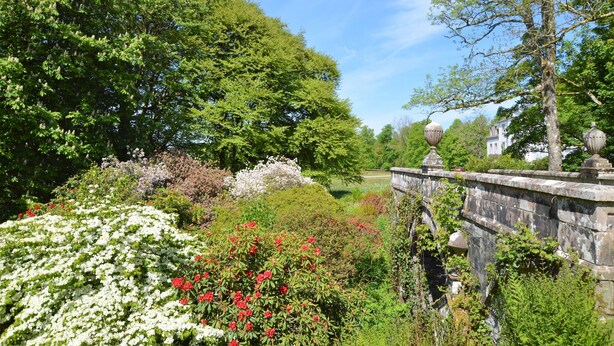 A stone bridge with a stone balustrade, surrounded by lush greenery and flowering plants. - Garden cottage, estate property set in amazing gardens, pet friendly, Wi-Fi (Strachur)
