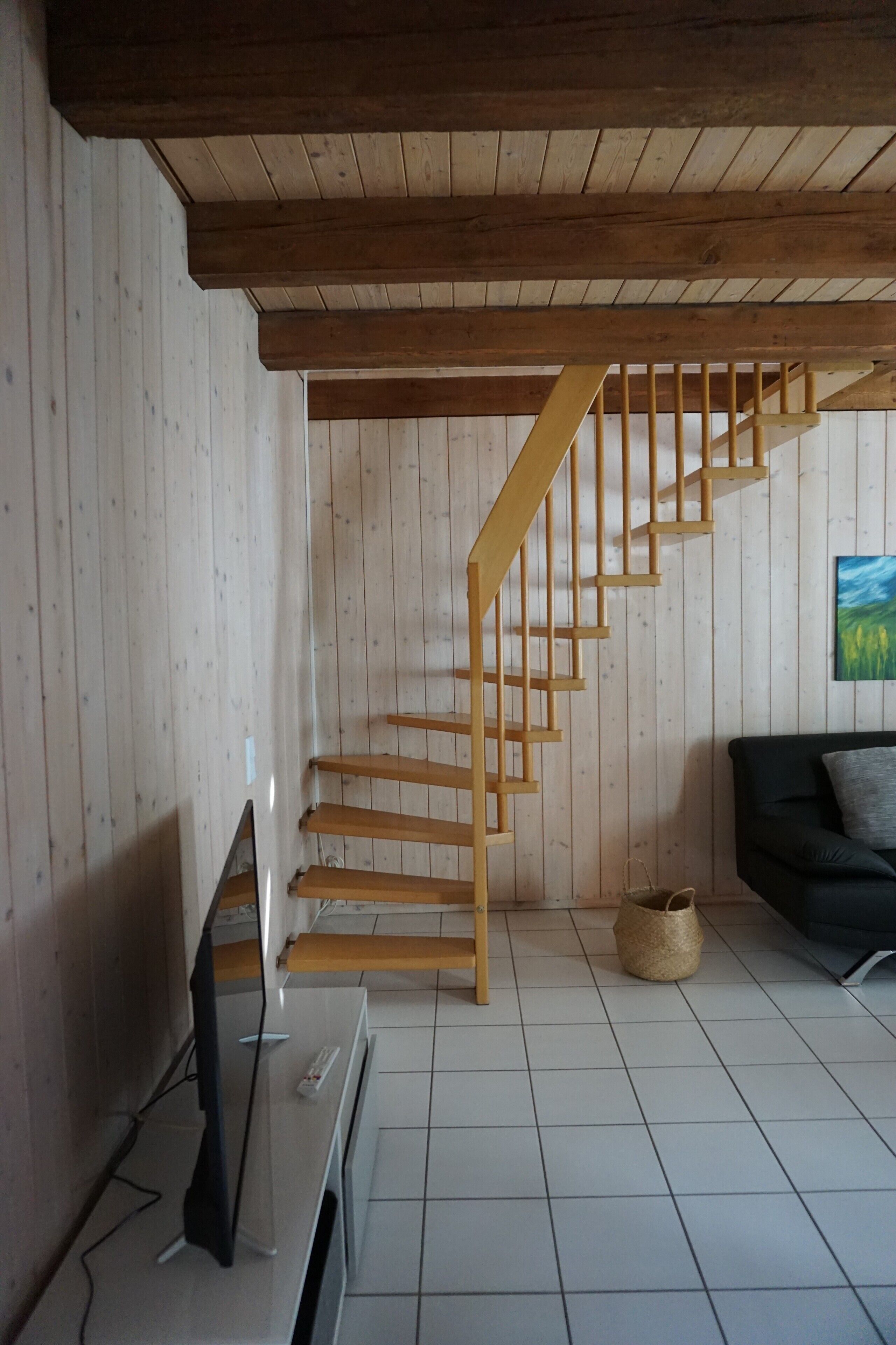 Una Smart TV, una chimenea, libros