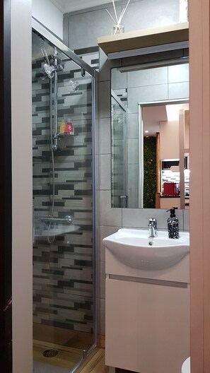 Shower, hair dryer, towels, shampoo