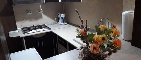 Fridge, microwave, stovetop, coffee/tea maker