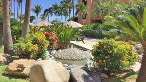 Un jardin aménagé avec des palmiers, une piscine et un espace salon extérieur.