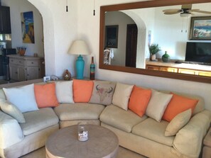 Smart TV, DVD player, books, video library