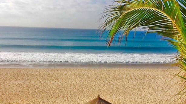 Une plage avec un parasol en chaume et des palmiers.