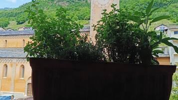 Vista dalla struttura