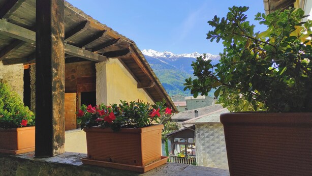 Une cour dotée d’une pergola en bois, de plantes en pot et offrant une vue sur la montagne.