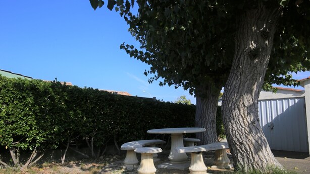 Ein Garten mit Tisch und Bänken unter einem Baum.
