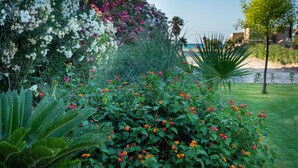 A garden with various plants and flowers, a palm tree, and a view of the beach in the background. - Evdokia Beach Resort (Malevizi)