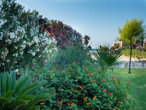 Garden - Evdokia Beach Resort (Malevizi)