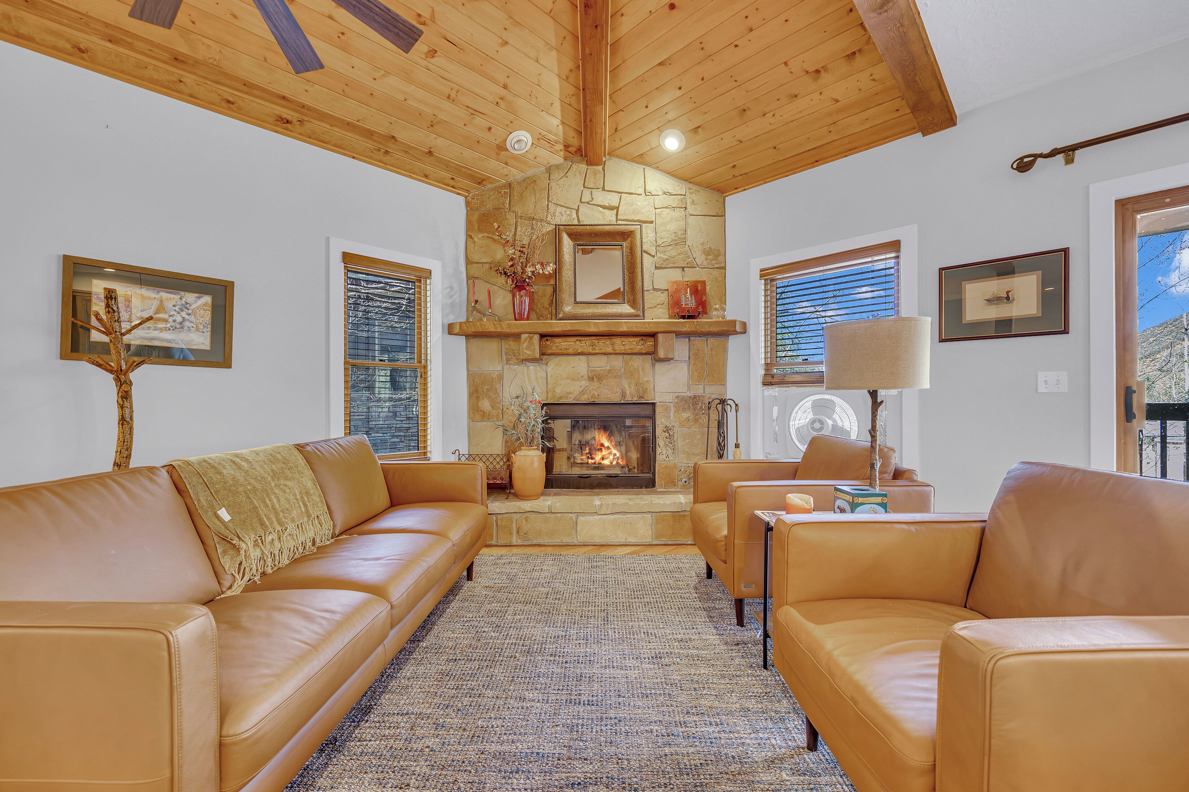 Télévision, cheminée, lecteur de DVD