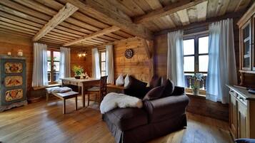 Smart TV, fireplace, books, music library