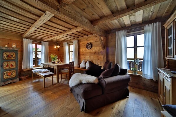 Smart TV, fireplace, books, music library