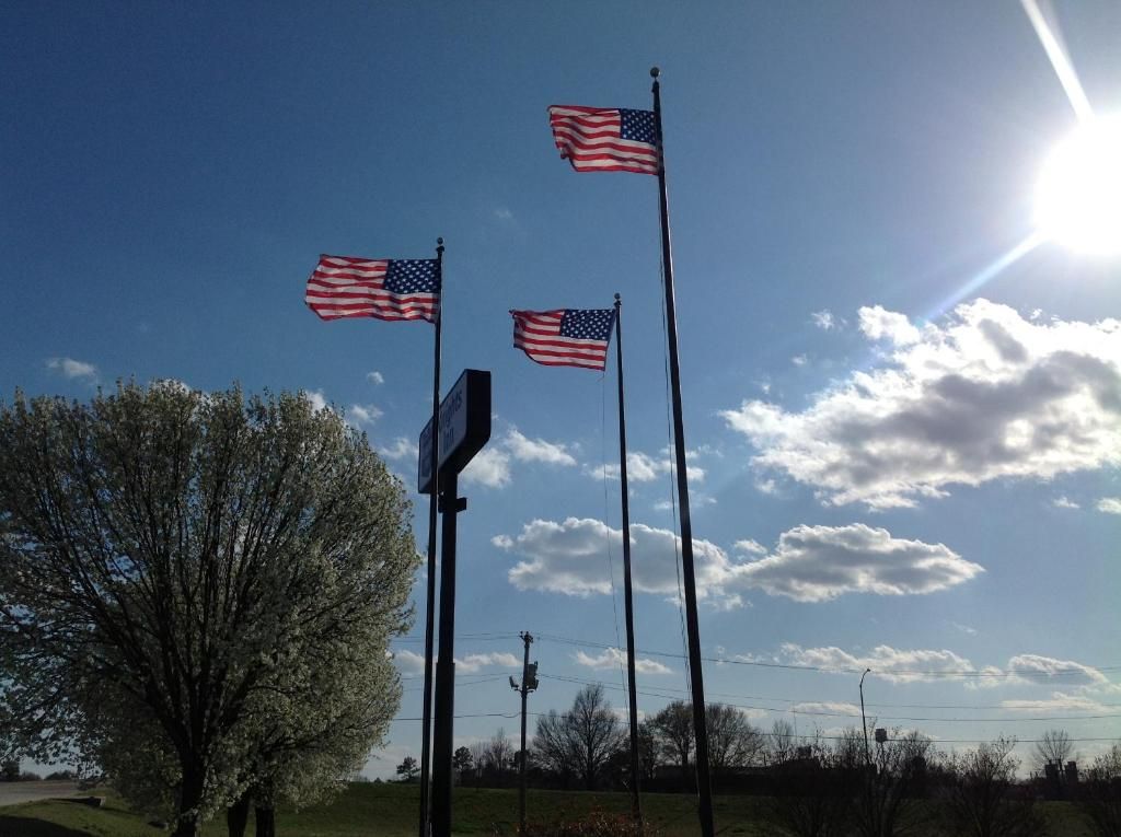 Three American flags on flagpoles, a clear sky, and a tree.