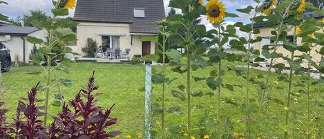 Área da propriedade