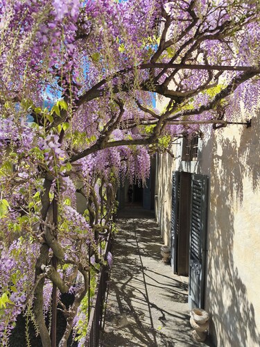 Palazzo Guicciardi: Adelssitz aus dem 16. Jh. mit geheimem Garten - Veltlin