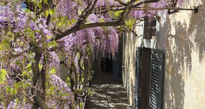 Palazzo Guicciardi: Adelssitz aus dem 16. Jh. mit geheimem Garten - Veltlin