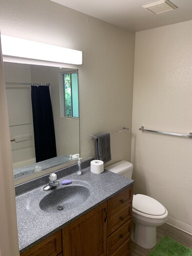 Davis Shared or Private BR with 2 Beds