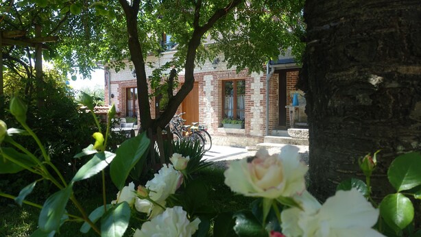 A garden with white flowers, a tree, and a building with a brick facade and a window.