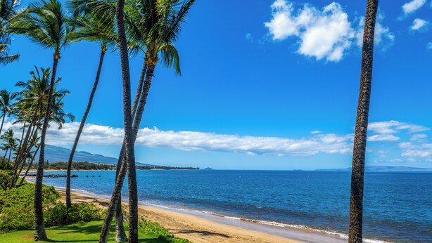 A beach with palm trees and a clear blue sky. - Maalaea Surf, Unit A5-2 Bedroom Beachfront Townhouse, AC, Wifi, TV, Kitchen (Kihei)
