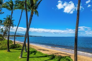 A beach with palm trees and a clear blue sky.